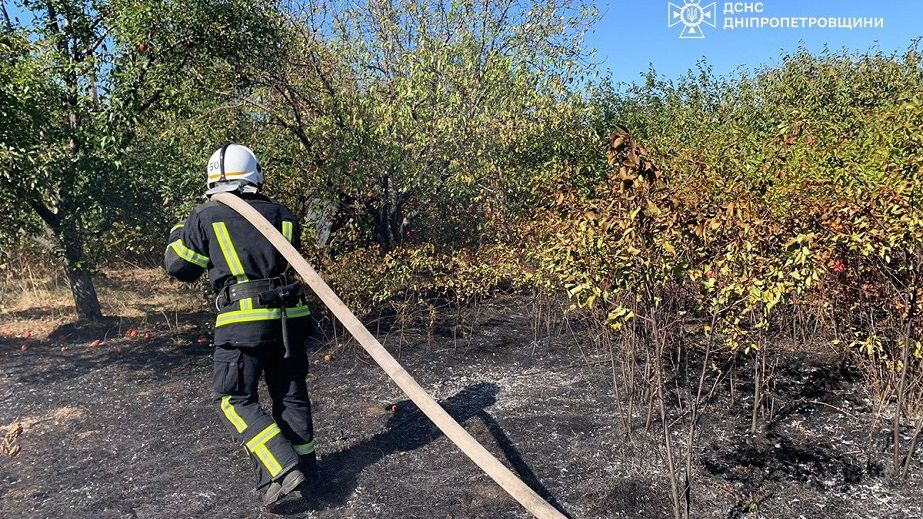 На Днепропетровщине спасатели вытаскивали из огня ежей (ФОТО)