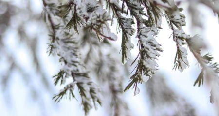 Мороз, але без снігу: якою буде погода у Дніпрі та області 21 січня