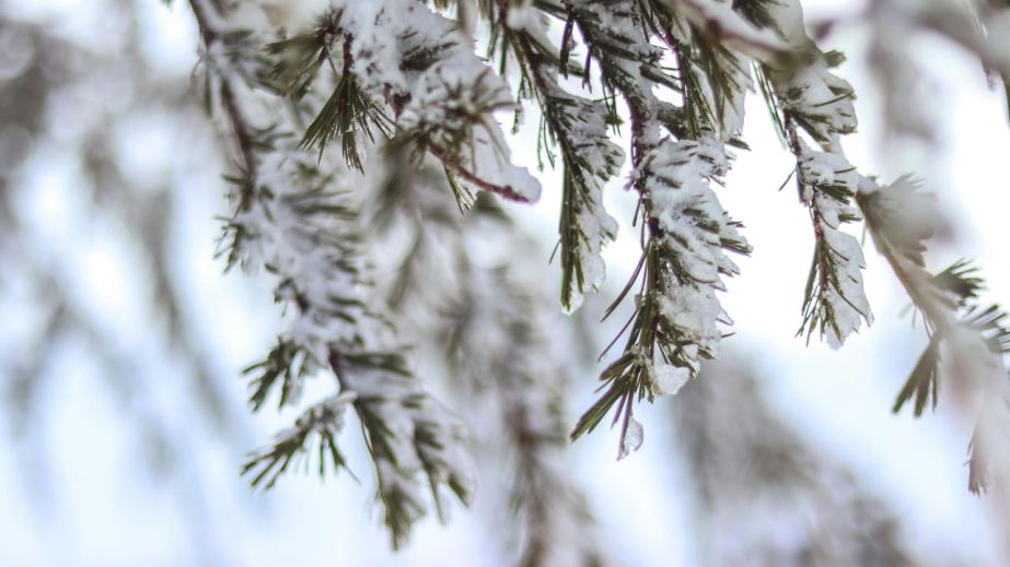 Мороз, але без снігу: якою буде погода у Дніпрі та області 21 січня