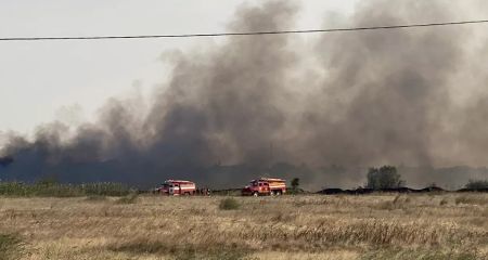 За прошедшие сутки на Днепропетровщине сгорело более 280 гектаров травы (ФОТО, ВИДЕО)