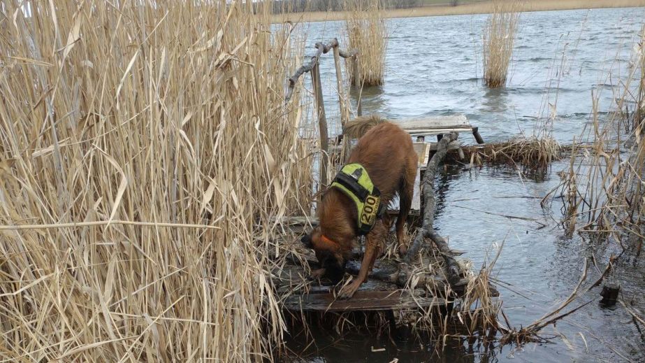 У Шахтарському кінологи знайшли мертвою 20-річну дівчину, яка зникла напередодні (ФОТО)