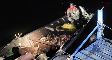 Нарыбачили сетками н...