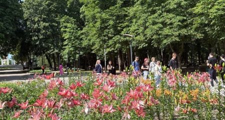 Ароматне царство: в одному з парків Дніпра з'явилася унікальна клумба з лілій (ФОТО)