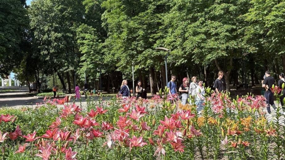Ароматное царство: в одном из парков Днепра появилась уникальная клумба из лилий (ФОТО)