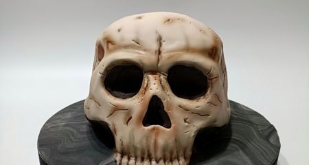 У Дніпрі створили мо...