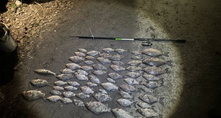 На Днепропетровщине задержали браконьера, наловившего тройным крючком рыбы более чем на 107 тысяч (ФОТО)