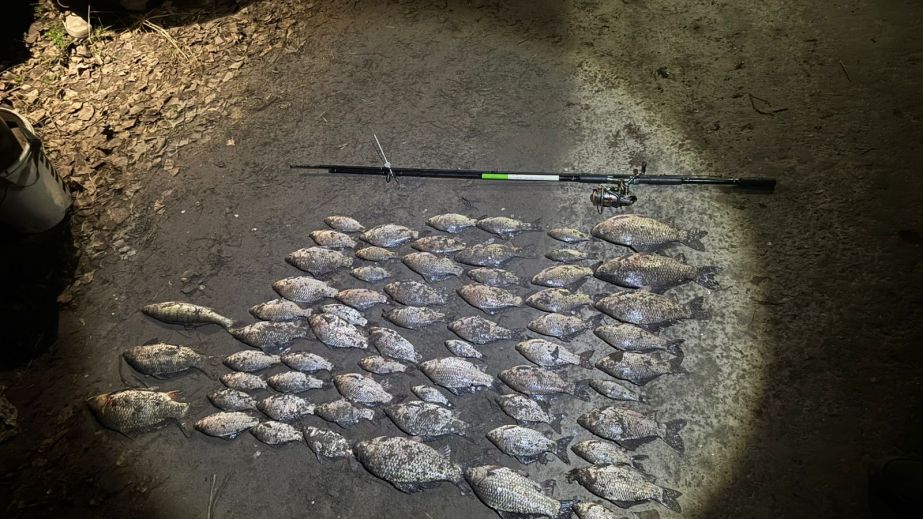 На Дніпропетровщині затримали браконьєра, який наловив потрійним гачком риби на понад 107 тисяч (ФОТО)