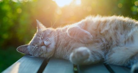 Облачно и тепло: какой будет погода в Днепре и области 26 марта