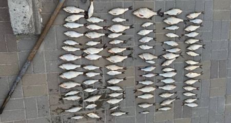 У Дніпрі браконьєр вудками наловив риби на майже 140 000 гривень