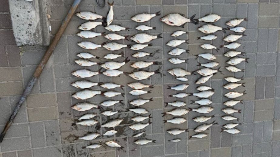 У Дніпрі браконьєр вудками наловив риби на майже 140 000 гривень