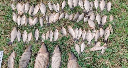 На Днепропетровщине браконьер наловил рыбы электроудочкой более чем на 159 000 гривен (ФОТО)