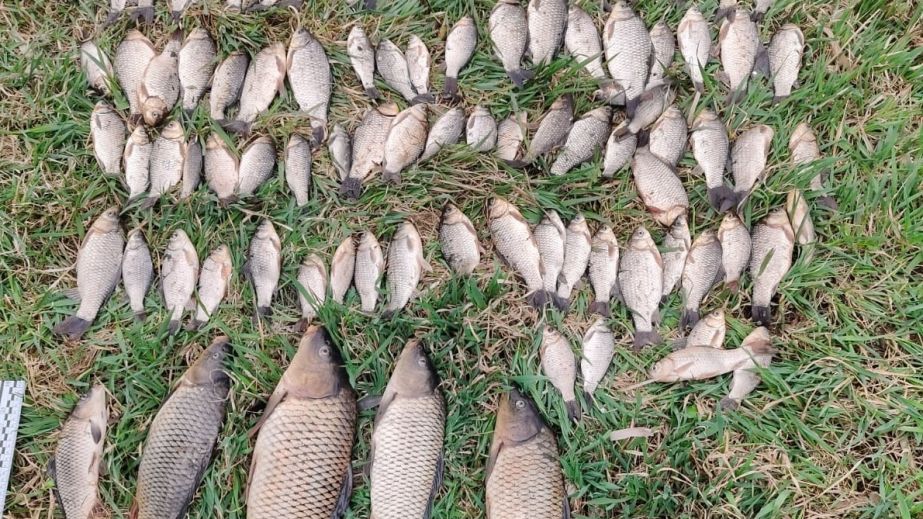 На Дніпропетровщині браконьєр наловив риби електровудкою на понад 159 000 гривень (ФОТО)