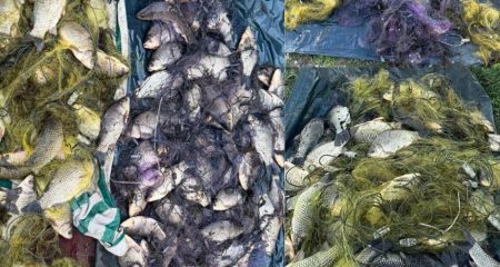 Один браконьер скрылся: на Днепропетровщине двое мужчин наловили рыбы более чем на 140 000 гривен