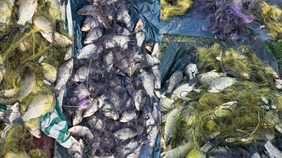 Один браконьер скрылся: на Днепропетровщине двое мужчин наловили рыбы более чем на 140 000 гривен