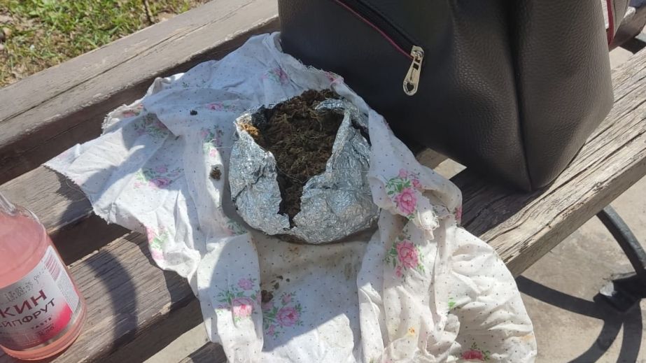 Сама віддала пакет із травичкою: у Кривому Розі жінка пила алкоголь на вулиці та попалася з наркотиками (ФОТО)