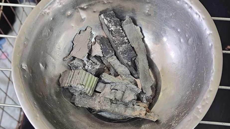 Під прицілом найменш захищені: у Нікополі ворожий обстріл пошкодив притулок для собак