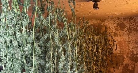 На Дніпропетровщині ...