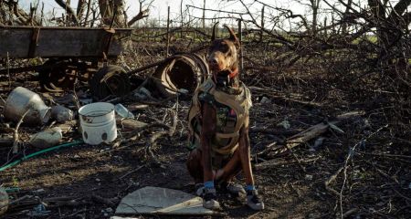 Врятувала понад 170 ...