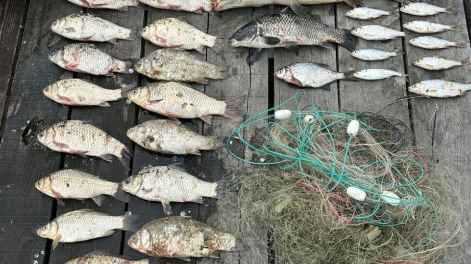 Понад 120 000 гривень збитків: на Дніпропетровщині браконьєри масово рибалили сітками (ФОТО)