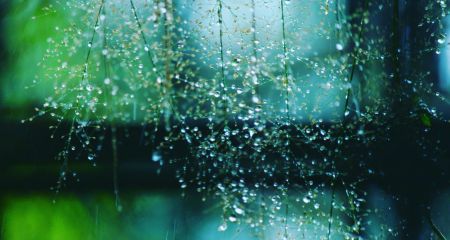 Мокрый снег и дождь ночью: какой будет погода в Днепре 27 февраля