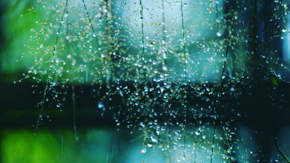 Мокрый снег и дождь ночью: какой будет погода в Днепре 27 февраля