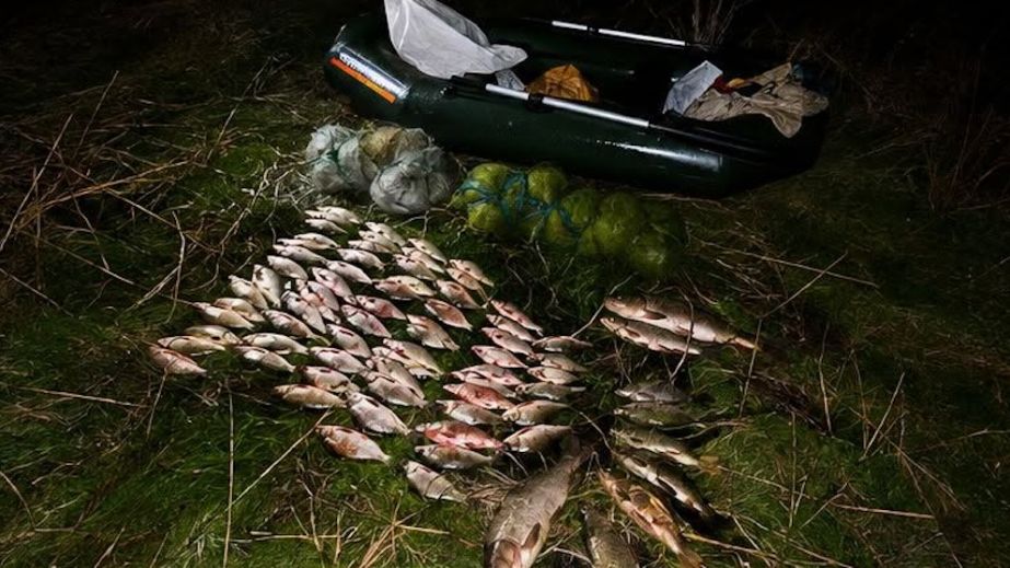 На реке Саксагань в Кривом Роге поймали браконьера с рыбой более чем на 134 000 гривен
