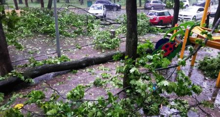 В Днепре ураган повалил дерево на детскую площадку (ВИДЕО)