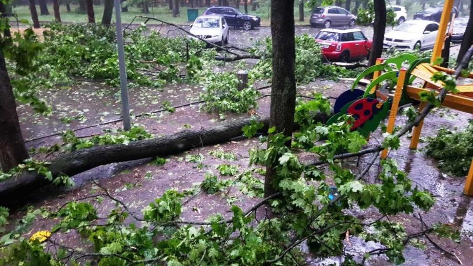 В Днепре ураган повалил дерево на детскую площадку (ВИДЕО)