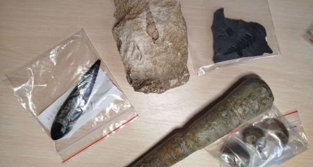 Історичному музею Дн...