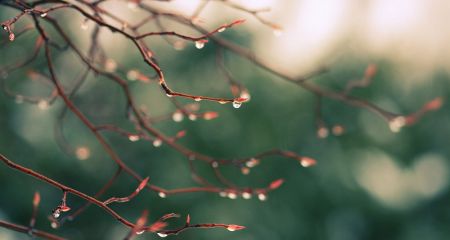 Дощ і тепло: якою буде погода у Дніпрі та області 27 березня