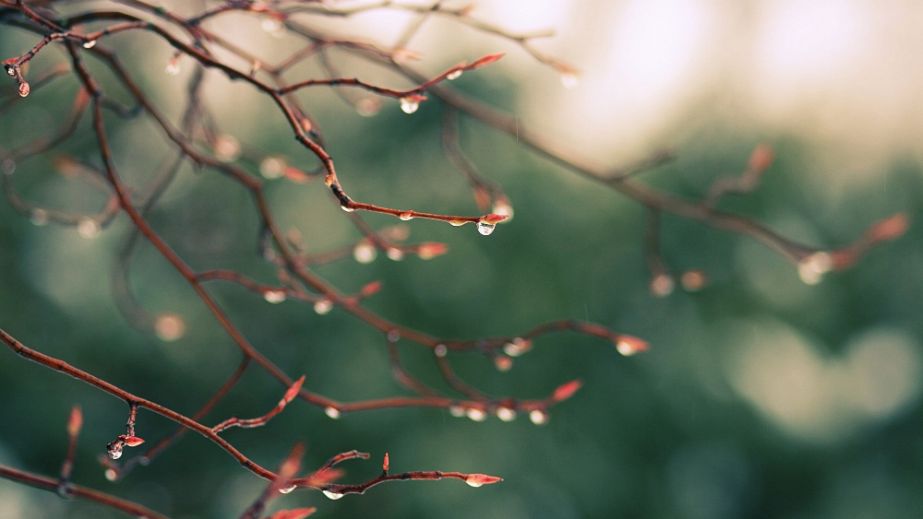 Дощ і тепло: якою буде погода у Дніпрі та області 27 березня