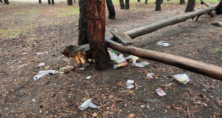Зелена зона перетворюється у смітник: як занепадає сосновий сквер у Павлограді (ФОТО, ВІДЕО)