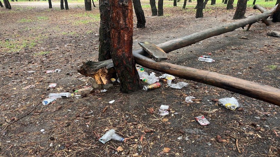 Зелена зона перетворюється у смітник: як занепадає сосновий сквер у Павлограді (ФОТО, ВІДЕО)