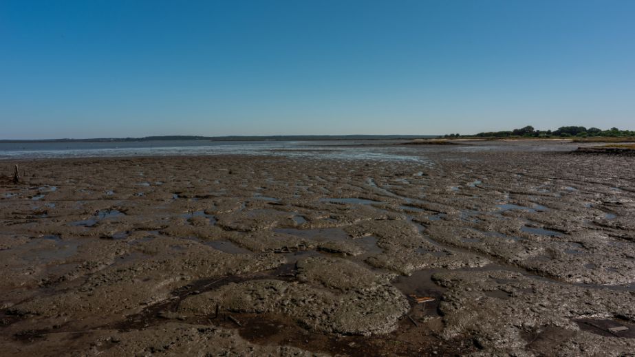 Озеро Куряче у Дніпрі перетворюється на пустелю (ФОТО, ВІДЕО)