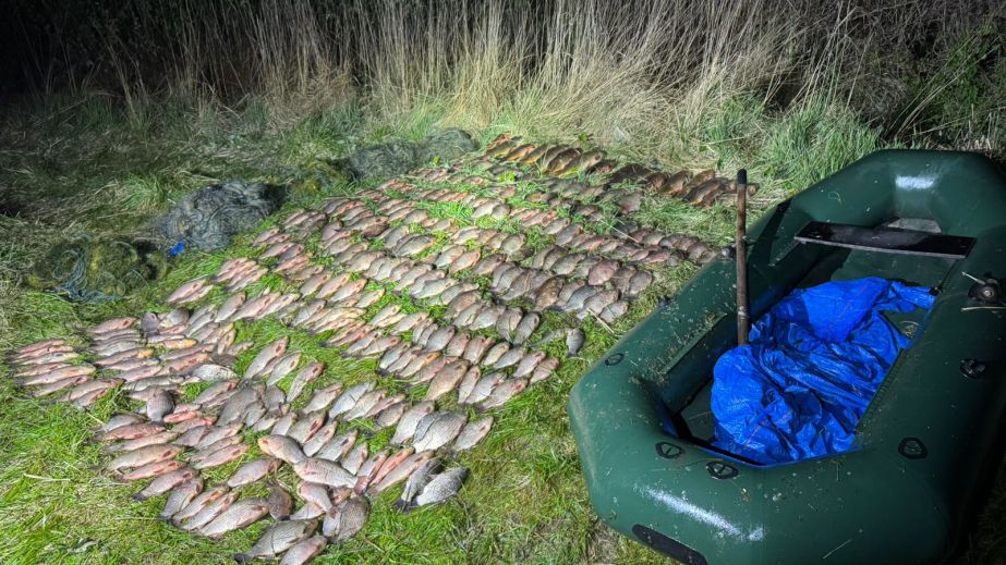 На Дніпропетровщині браконьєр сітками виловив 234 кілограми риби на понад пів мільйона гривень (ФОТО)