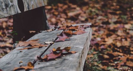 Какой будет погода в Днепре и области 13 ноября