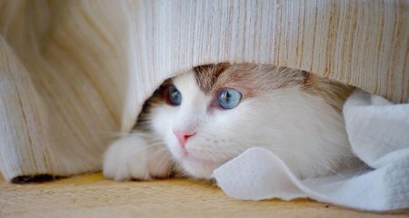 В Каменском в одном ...