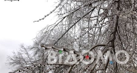 Опасная погода: жителей Днепра и области предупреждают о тумане и гололеде