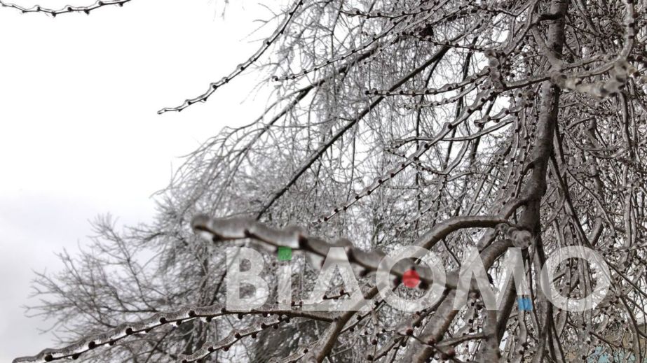 У Кривому Розі обмерзлі гілки впали на автомобіль та пошкодили його (ВІДЕО)