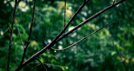 Хмарно та дощ: якою буде погода у Дніпрі та області 21 квітня