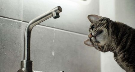 В Днепре 31 августа ряд домов остался без воды: адреса