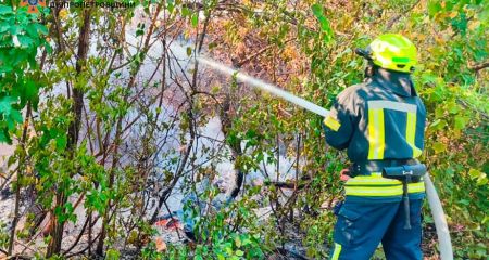 На Дніпропетровщині горять гектари лісу