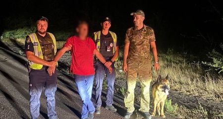 Ховався в кущах: службовий пес допоміг розшукати п'яного винуватця смертельної ДТП на Дніпропетровщині