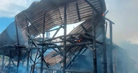 На Днепропетровщине в лесном обществе сгорела двухэтажная усадьба