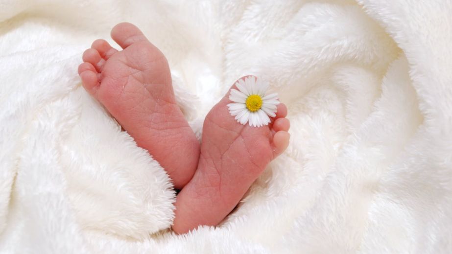 За добу у Дніпрі народилася однакова кількість хлопчиків та дівчаток