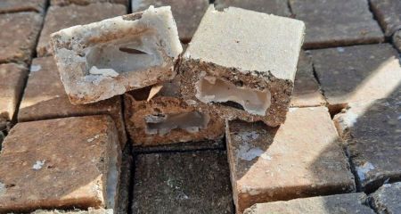 Чіпати не слід: на Дніпропетровщині розкладатимуть приманки з вакциною для диких тварин