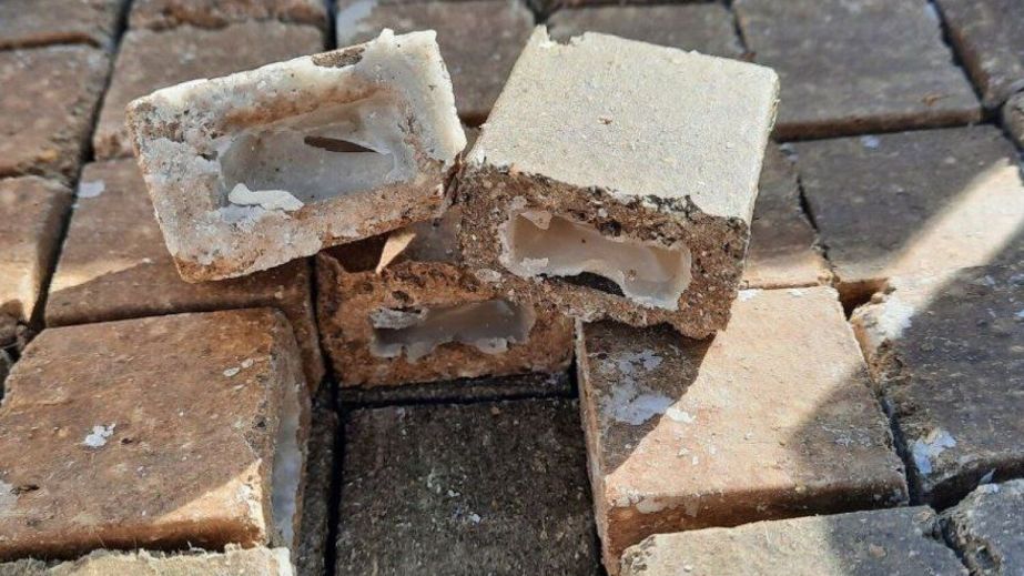 Чіпати не слід: на Дніпропетровщині розкладатимуть приманки з вакциною для диких тварин