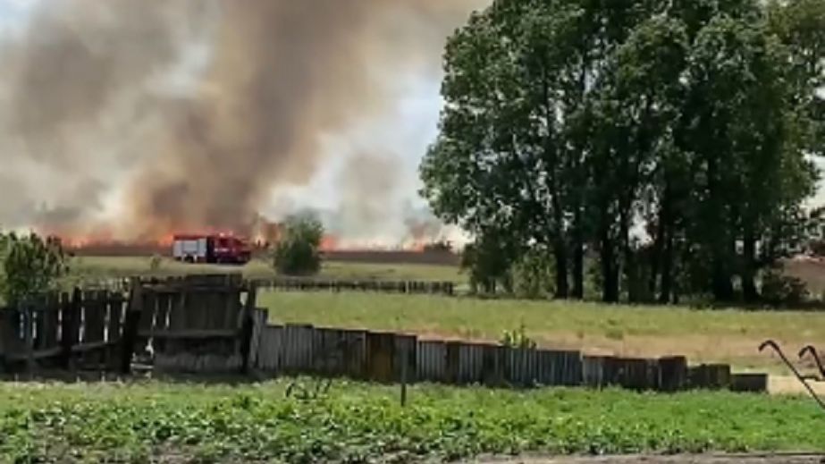 В одному з районів Дніпропетровщині масштабно горить очерет (ВІДЕО)