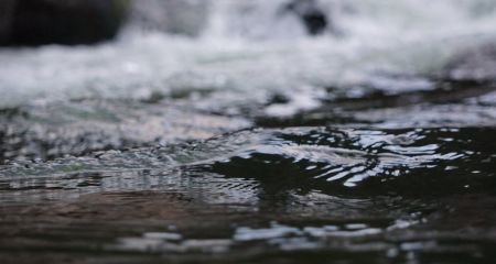 В Кривом Роге улица превратилась в речку (ВИДЕО)