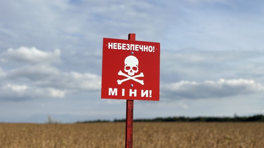 В Криворожском районе снова обнаружили и обезвредили боеприпасы